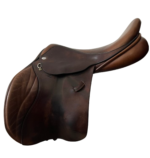 AMPLITUDE Sellerie EXCÈS CSO