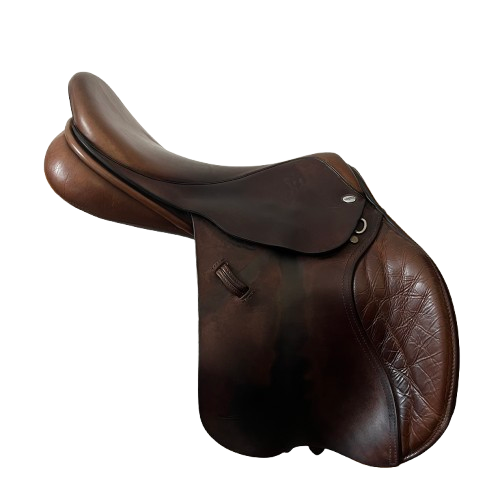 AMPLITUDE Sellerie EXCÈS CSO