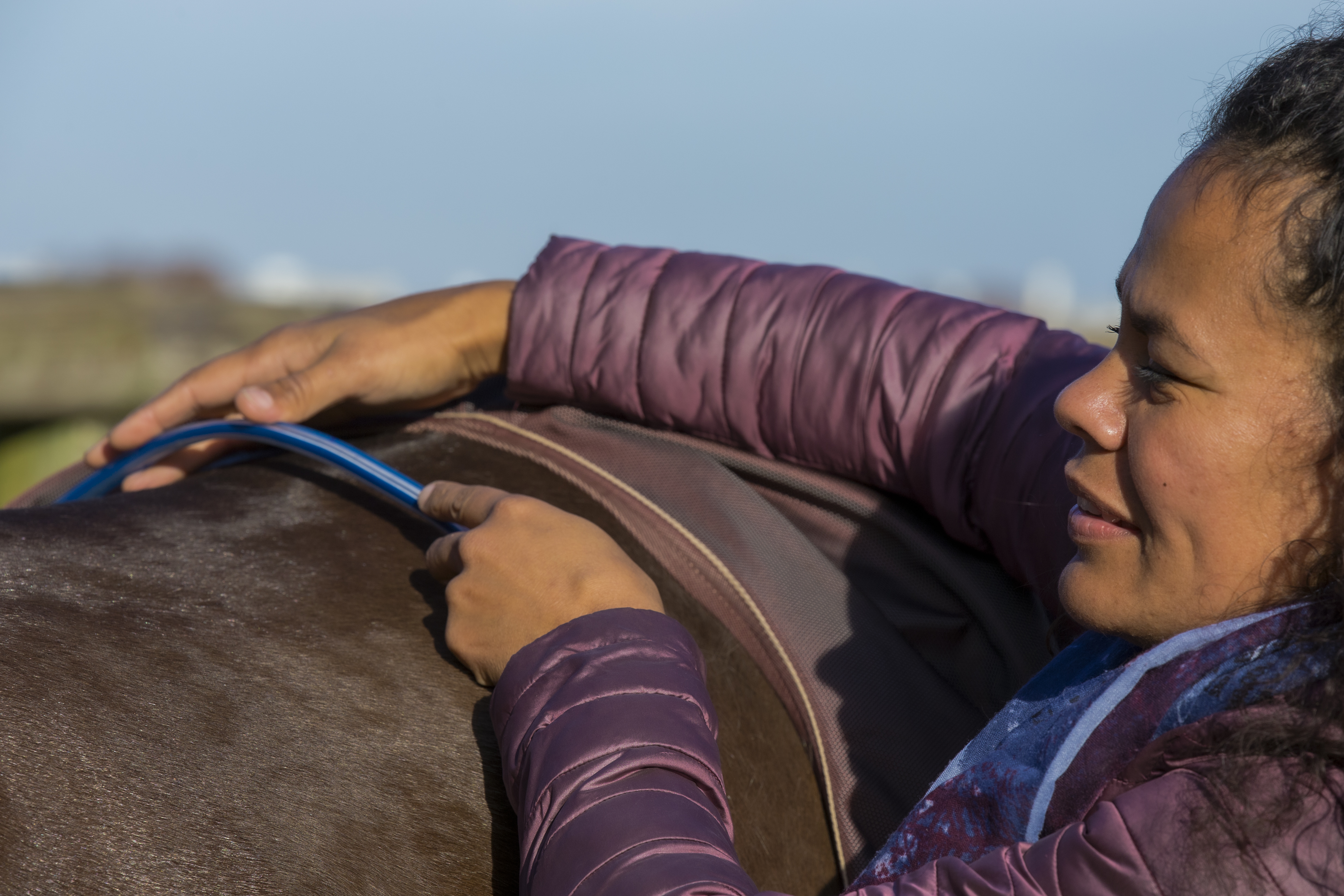 Rembourrage de selle en laine - Amplitude Sellerie à Les Mureaux
