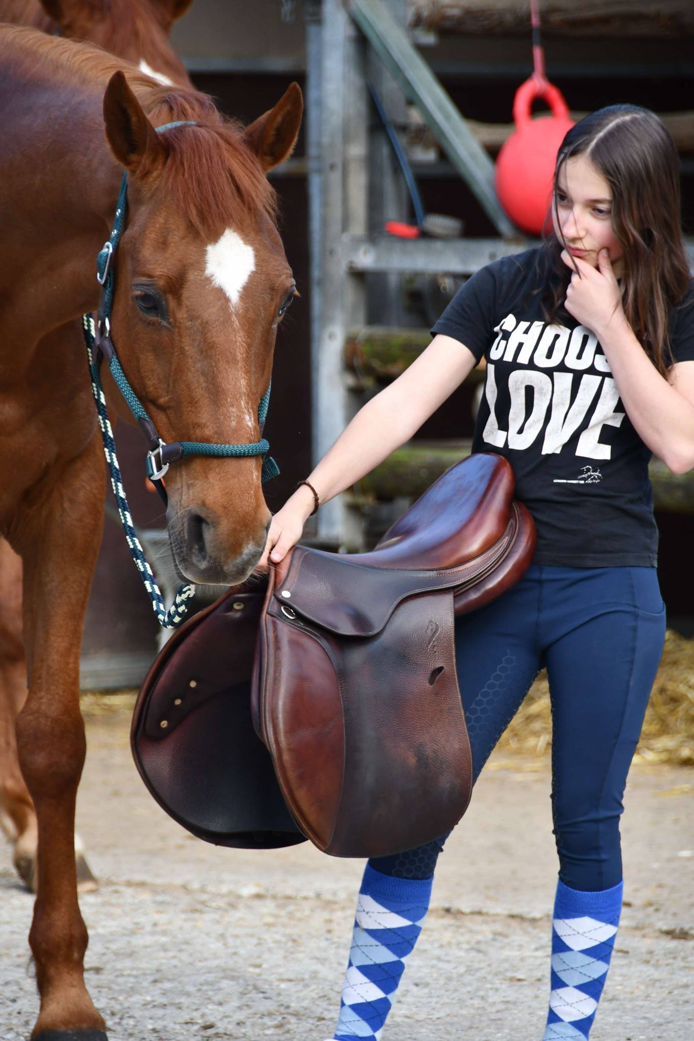 Entretien de selle en laine - Amplitude Sellerie à Les Mureaux