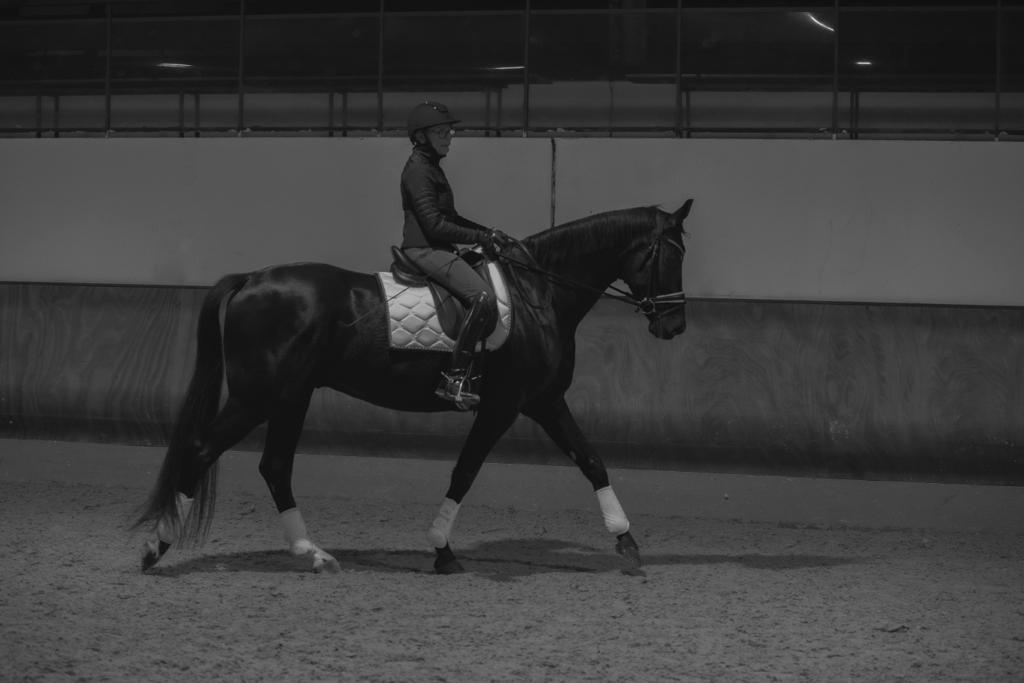 Entretien de selle en laine - Amplitude Sellerie à Les Mureaux