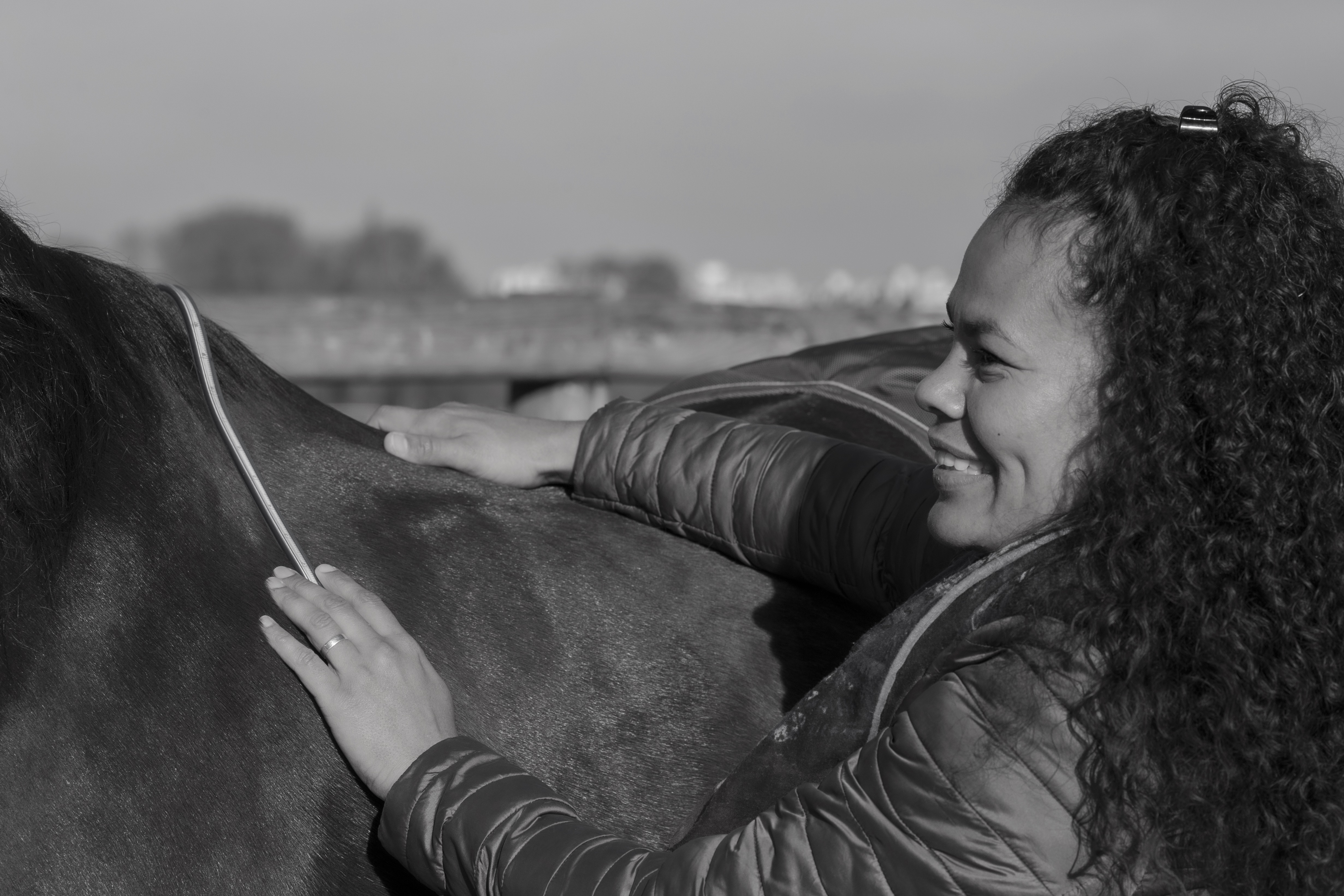 Entretien de selle en laine - Amplitude Sellerie à Les Mureaux