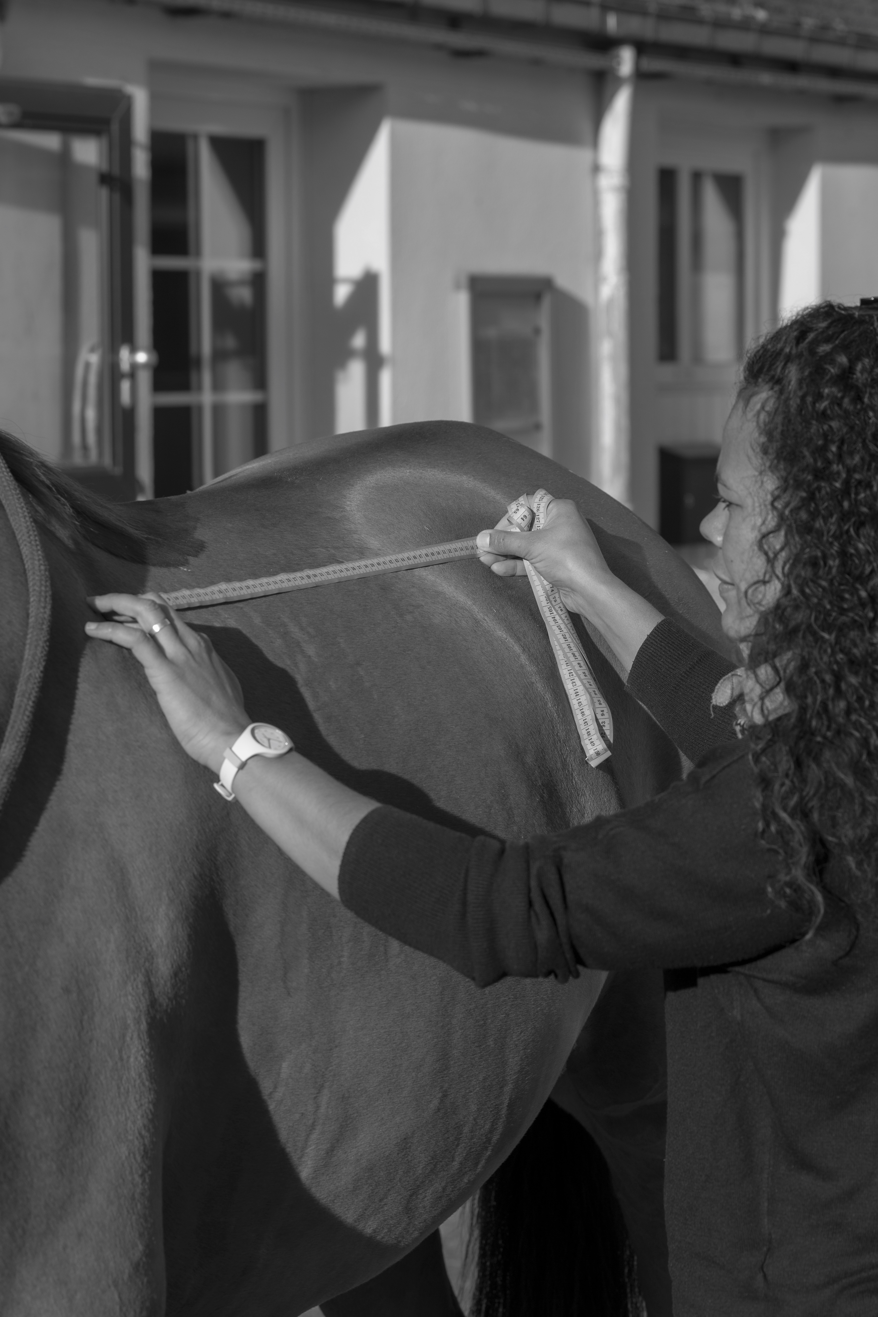 Rembourrage de selle en laine - Amplitude Sellerie à Les Mureaux