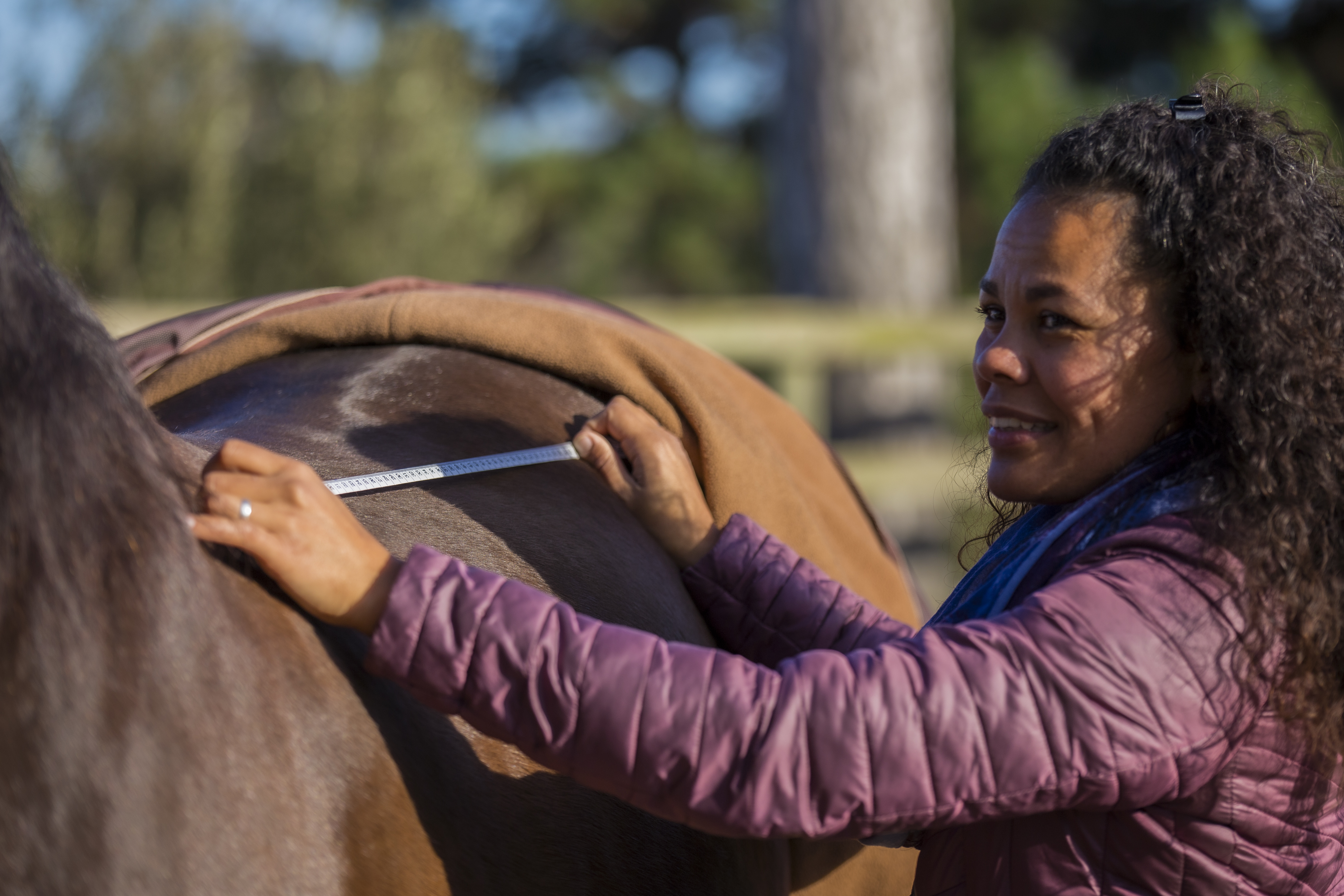Rembourrage de selle en laine - Amplitude Sellerie à Les Mureaux