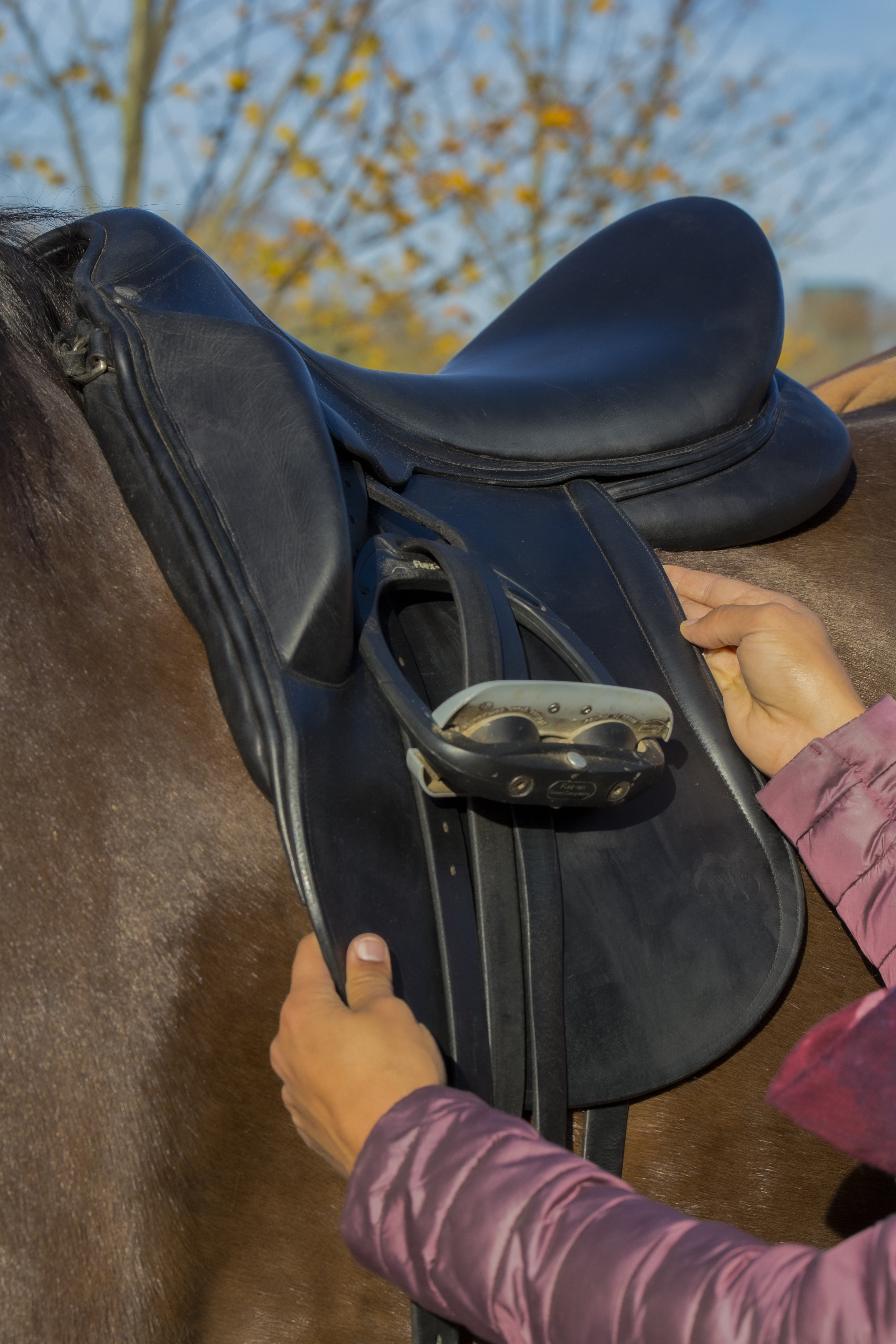 Entretien de selle en laine - Amplitude Sellerie à Les Mureaux