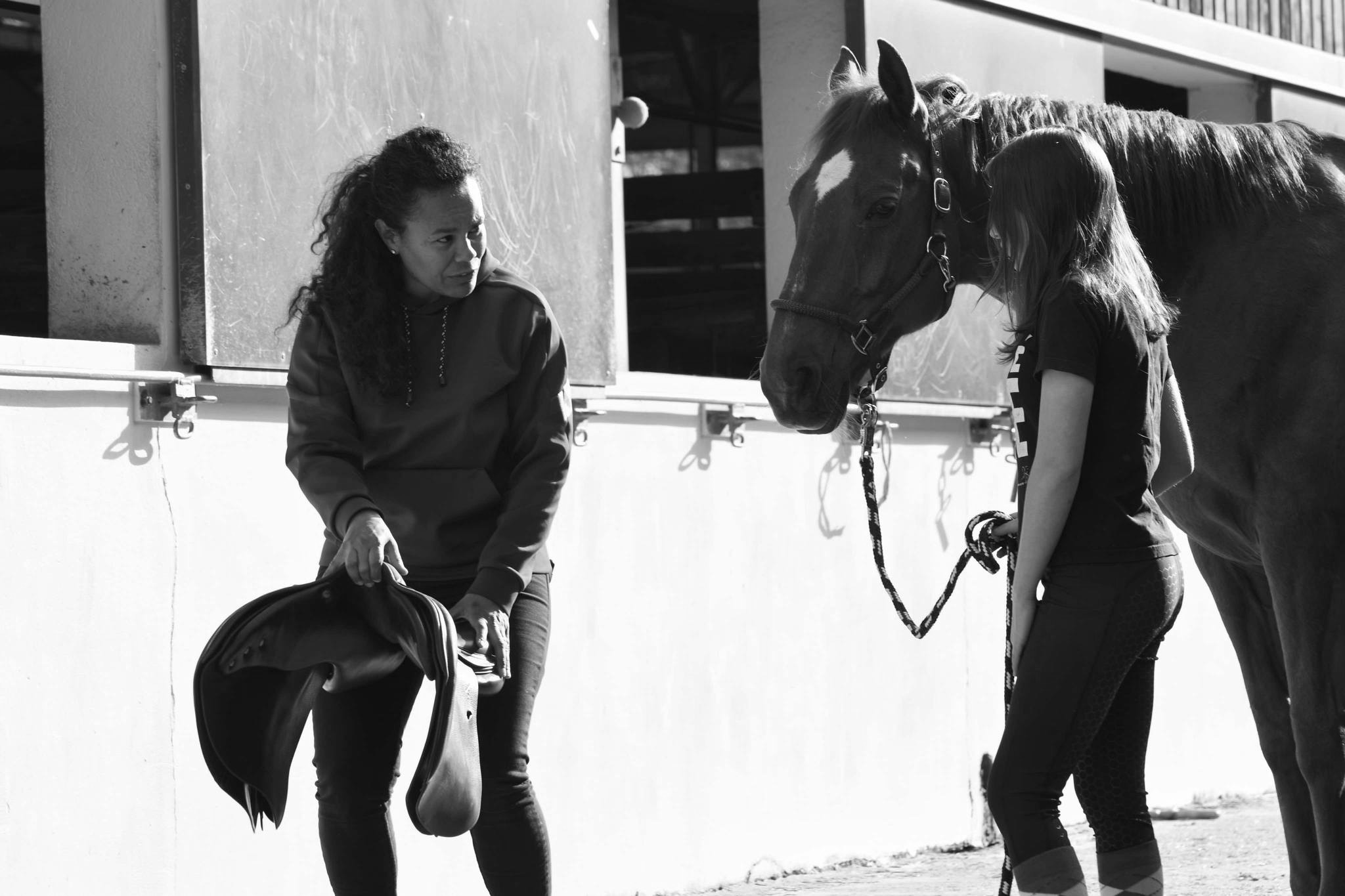 Rembourrage de selle en laine - Amplitude Sellerie à Les Mureaux