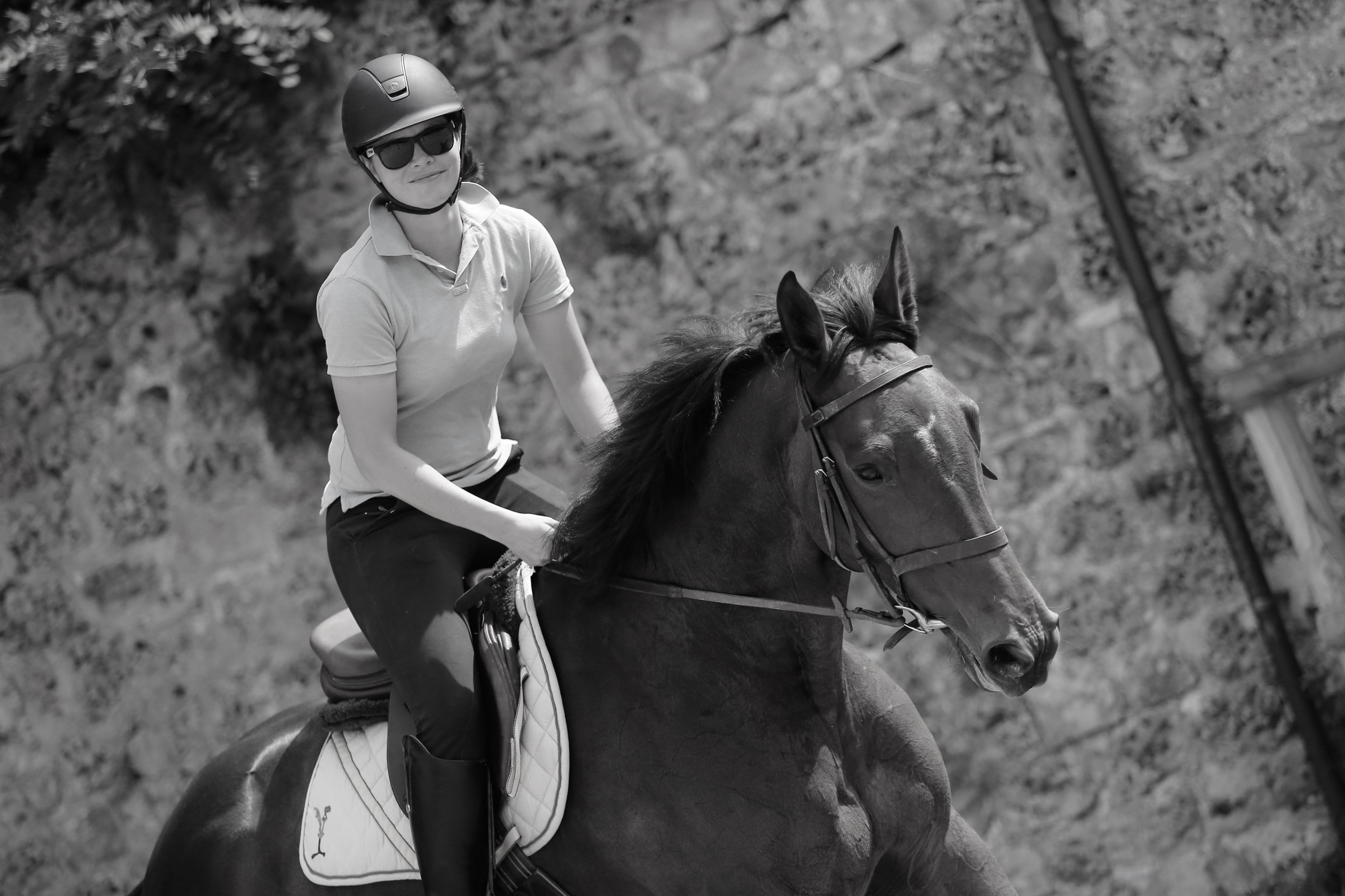 Entretien de selle en laine - Amplitude Sellerie à Les Mureaux